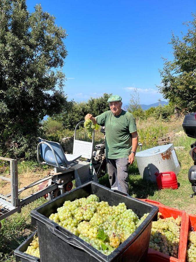 I Tre Grappoli Villa Corniglia Exterior foto