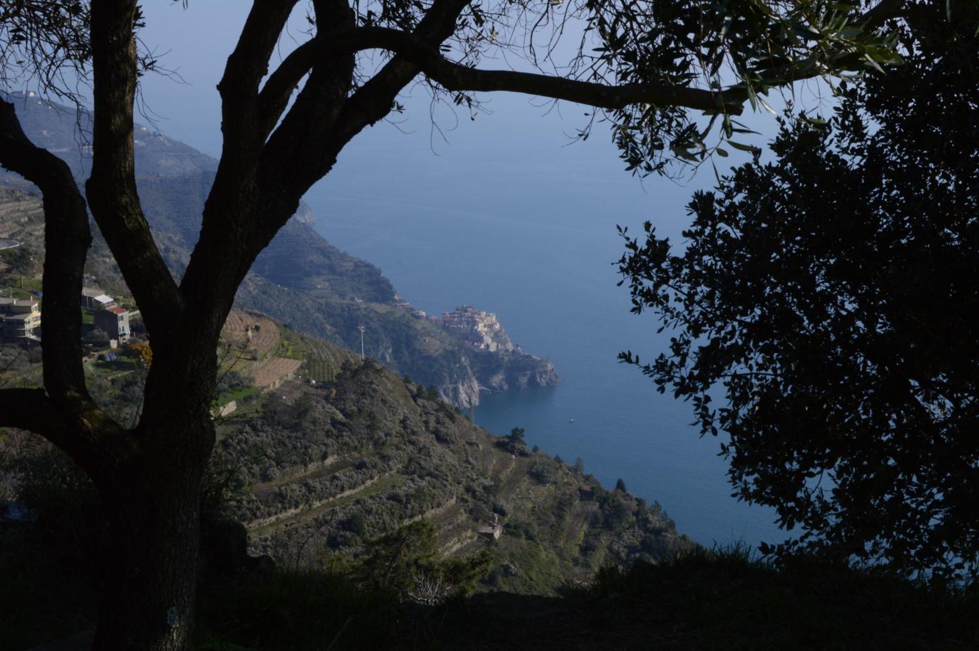 I Tre Grappoli Villa Corniglia Exterior foto