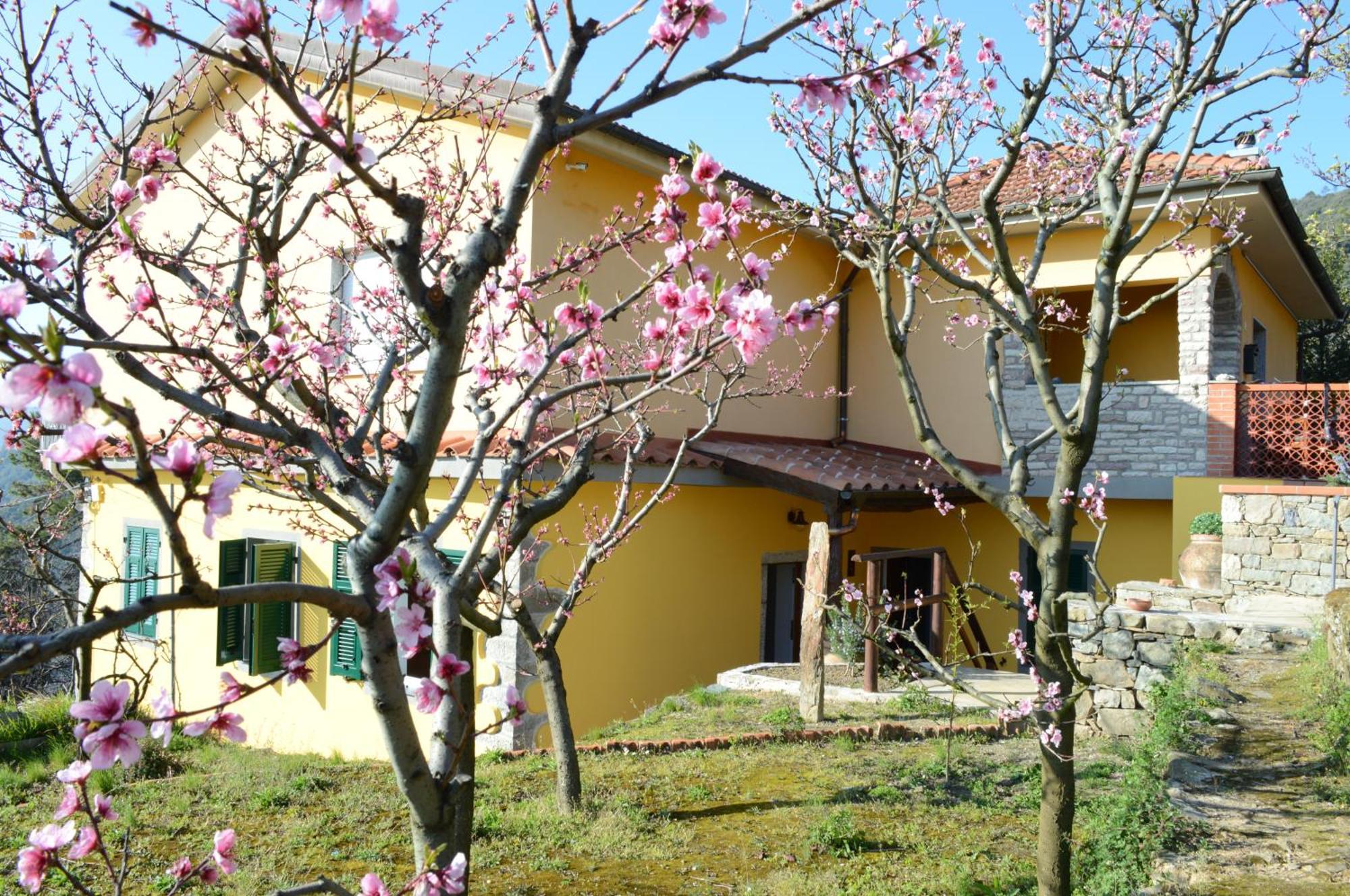 I Tre Grappoli Villa Corniglia Exterior foto