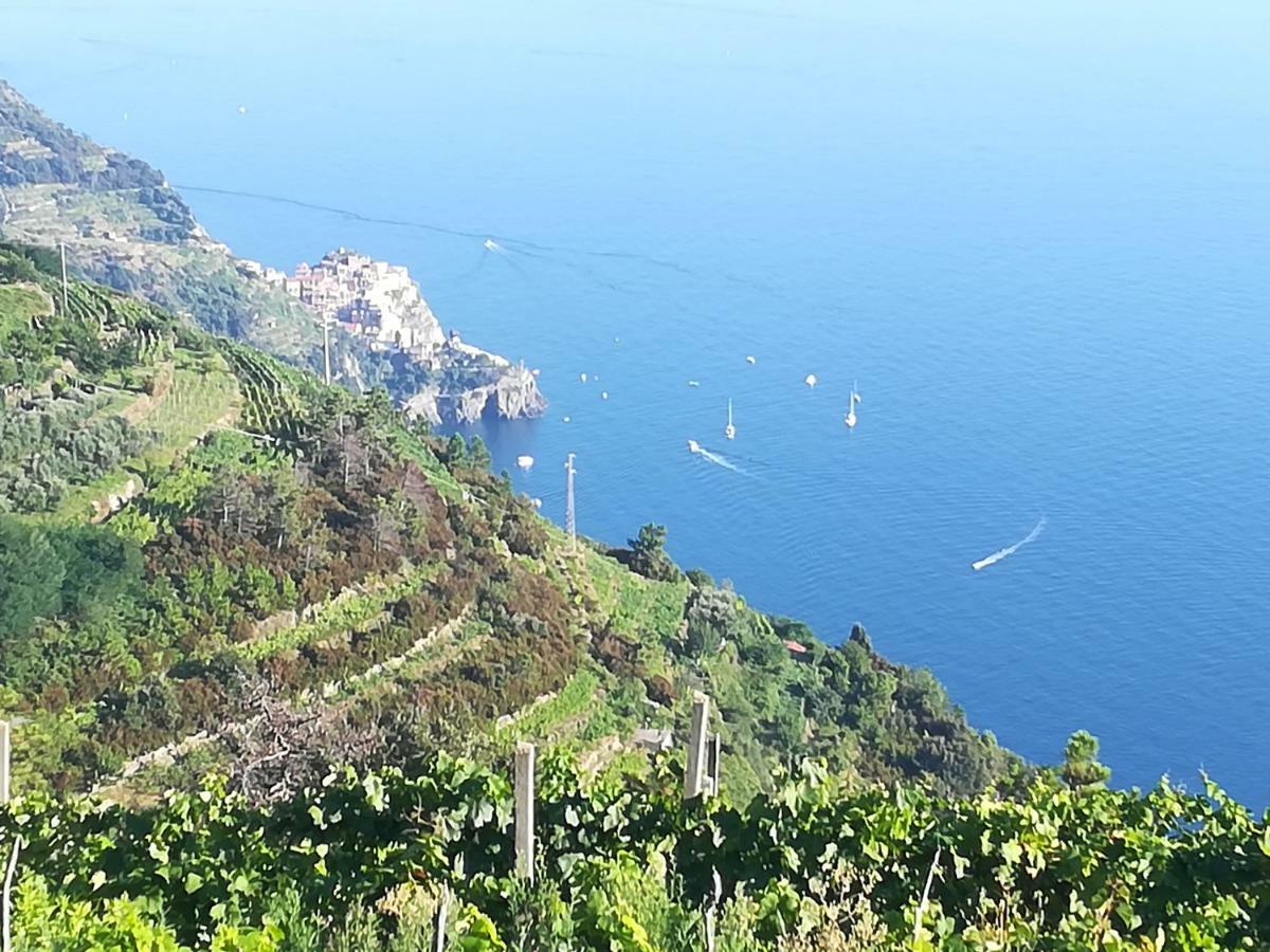 I Tre Grappoli Villa Corniglia Exterior foto